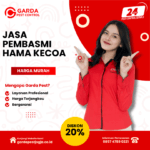 Jasa Pembasmi Kecoa di Cimahi Metode Lengkap dan Cepat Jasa Pembasmi Kecoa di Salatiga Berkualitas dan Terjangkau