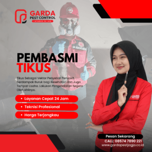 Jasa Pembasmi Tikus di Jogja Termurah