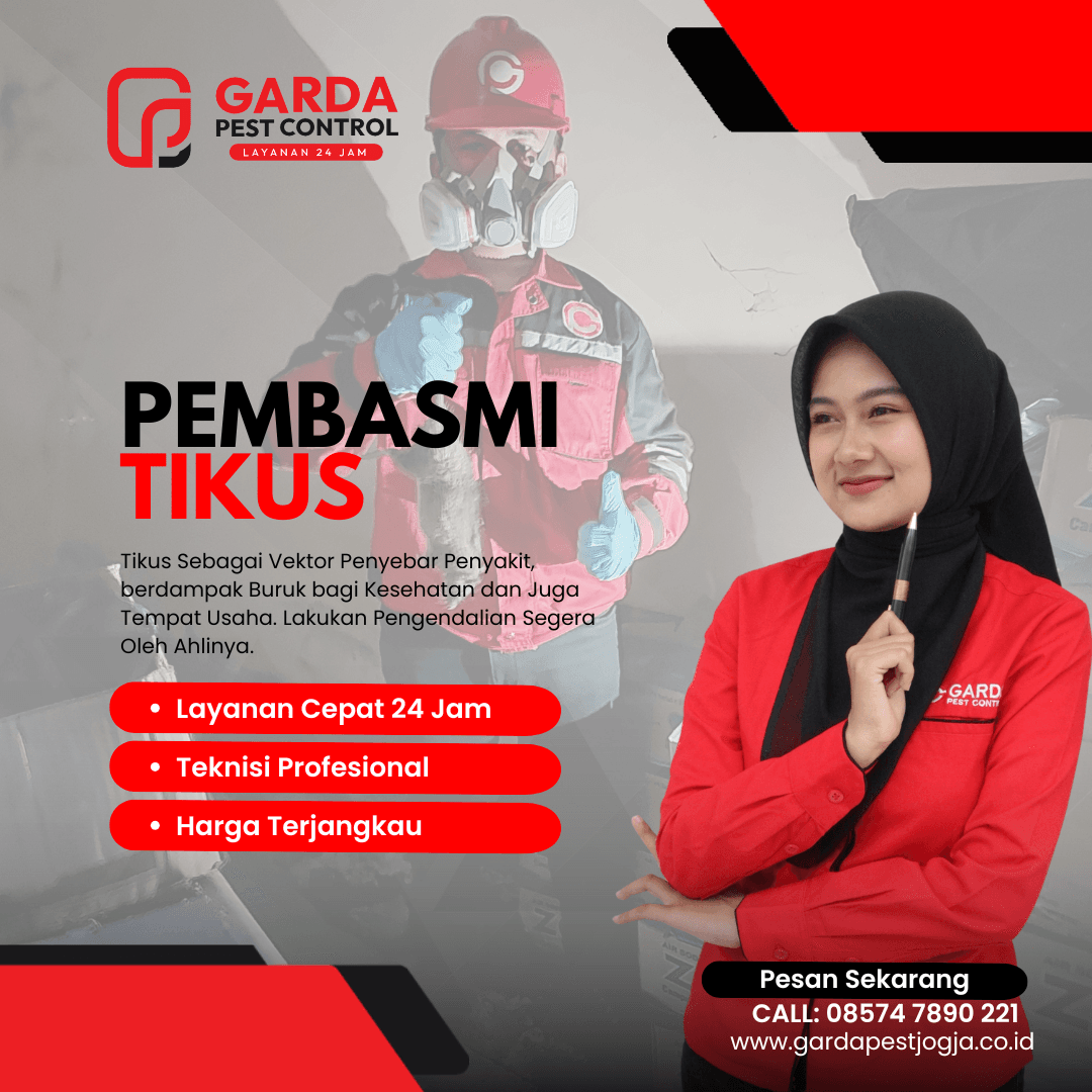 Jasa Pembasmi Tikus di Jogja Basmi Sampai Tuntas