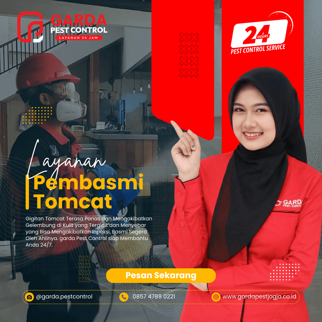 Jasa Pembasmi Tomcat di Jogja Profesional dan Berkualitas