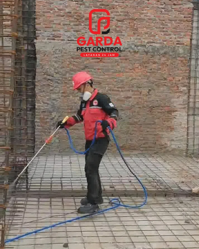 Jasa Anti Rayap di Jogja