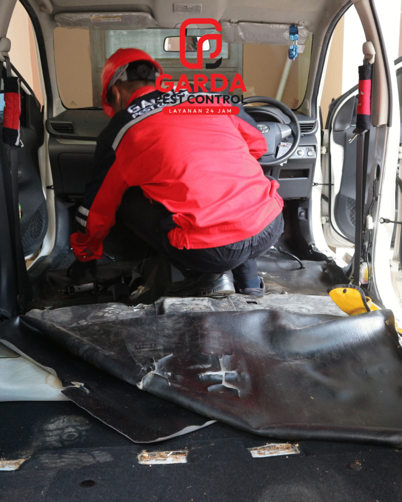 Jasa Pembasmi Kecoa Mobil Jogja