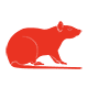 Jasa Pembasmi Tikus