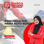 Harga Jasa Pembasmi Kutu Kucing Jogja