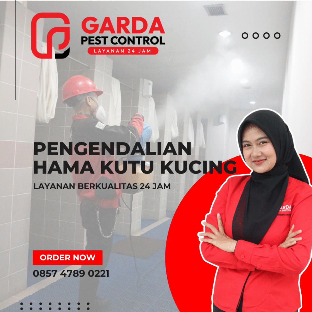 Jasa Pembasmi Kutu Kucing Profesional Jogja