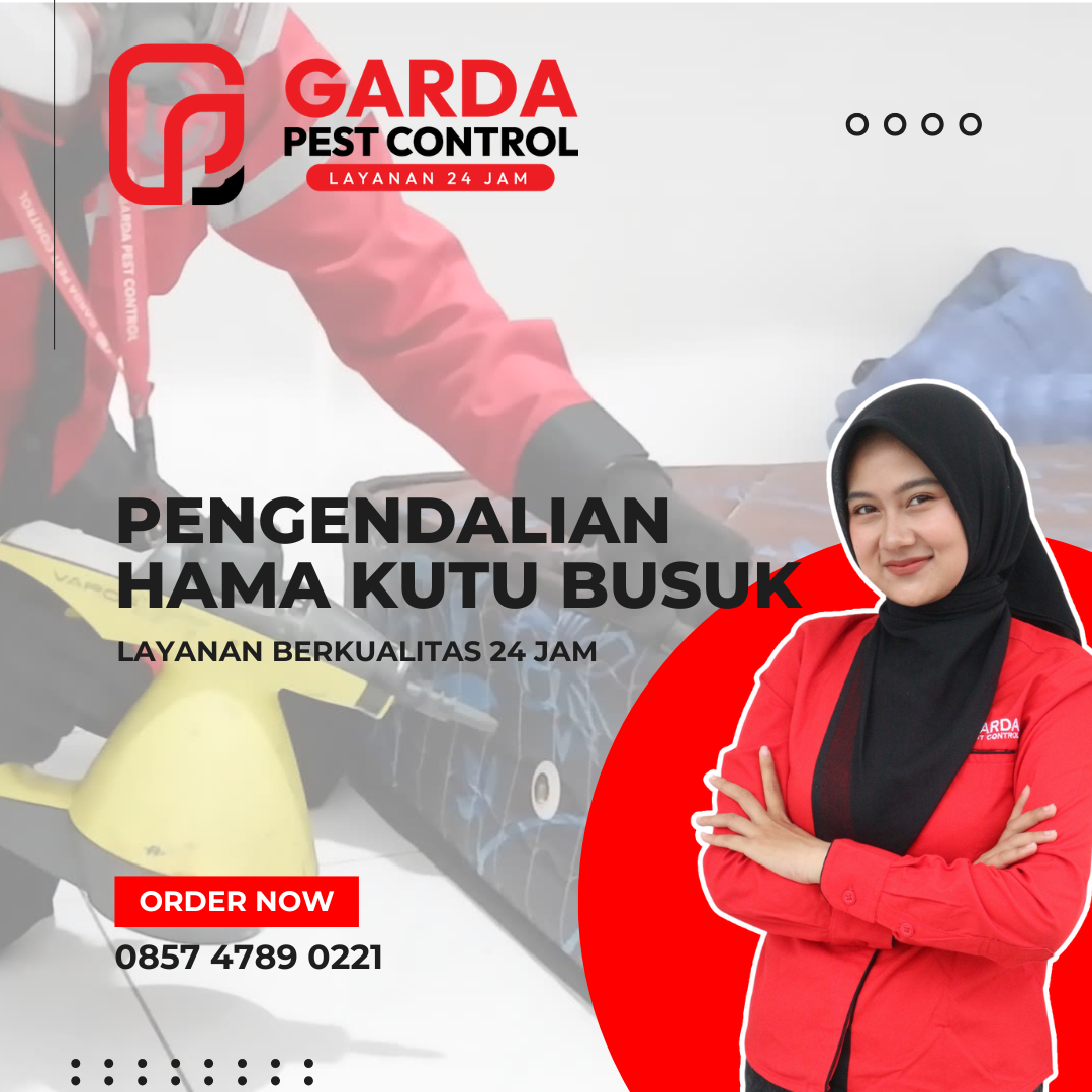 Harga Jasa Pembasmi Kutu Kucing Jogja: Solusi Tuntas dari Garda Pest Control