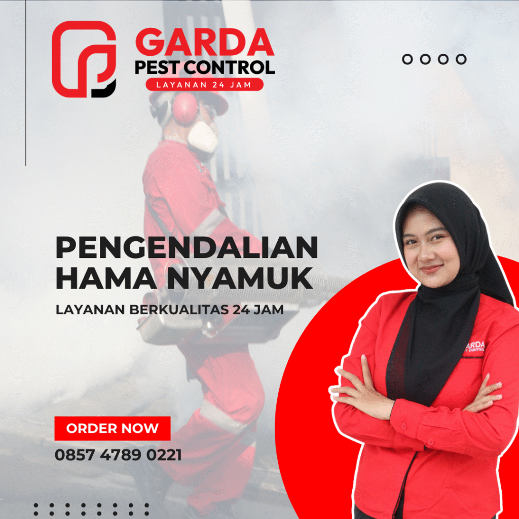 Jasa Fogging DBD di Jogja Termurah No.1