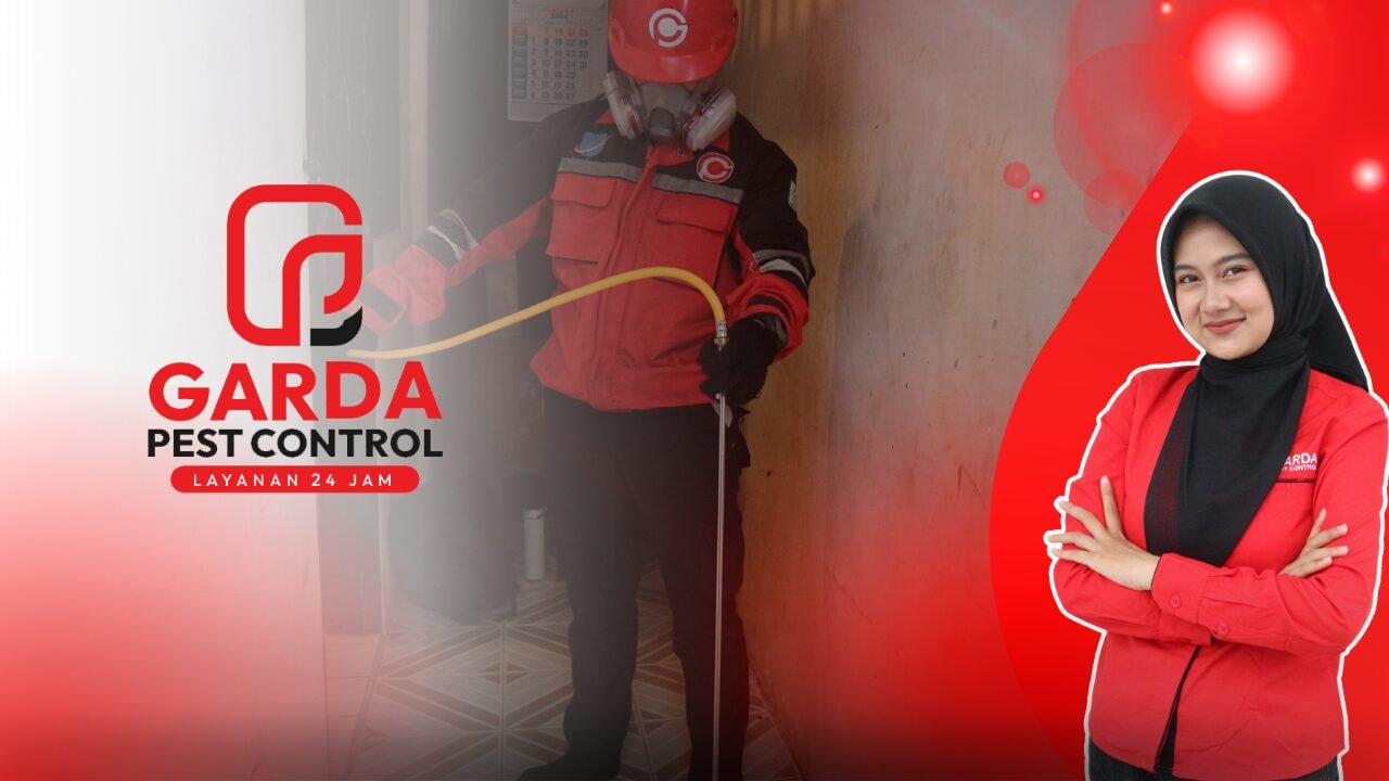 Jasa Anti Rayap Harga Di Jogja Yang Paling Terjangkau