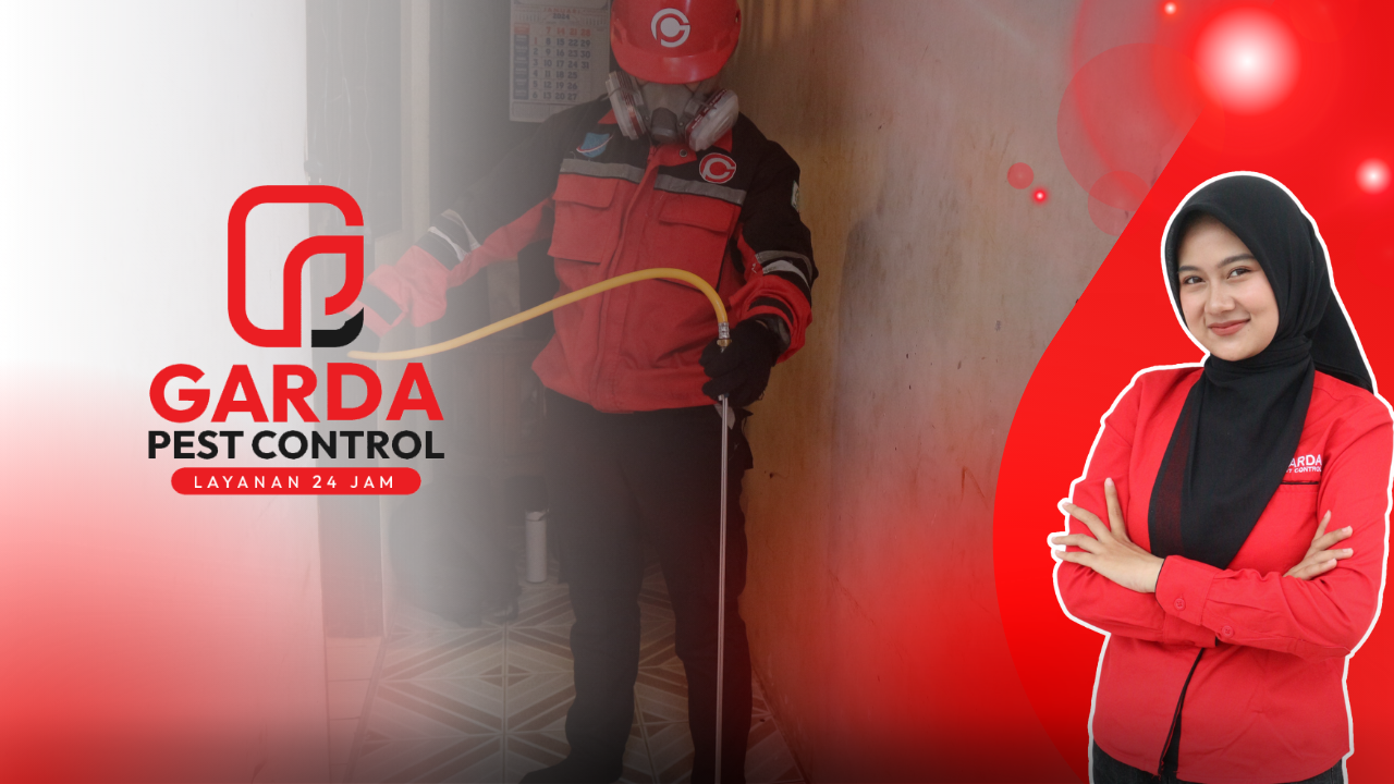 Jasa Anti Rayap Harga Di Jogja Yang Paling Terjangkau