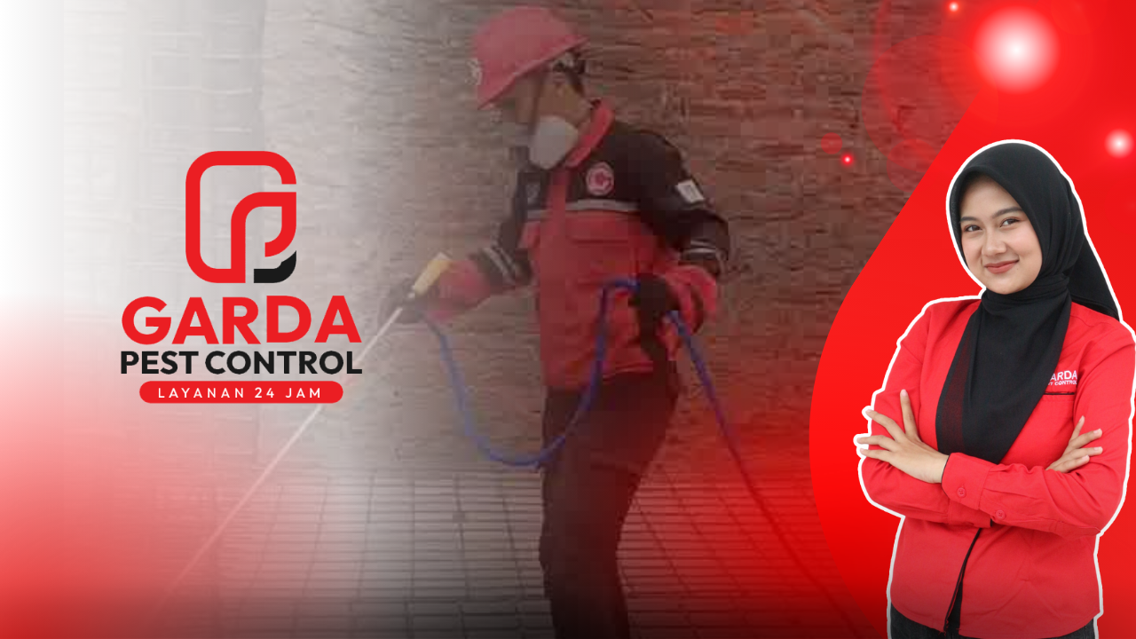 Jasa Anti Rayap Per M2 Di Jogja Murah & Bergaransi