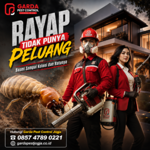 Solusi Suntik Anti Rayap Jogja