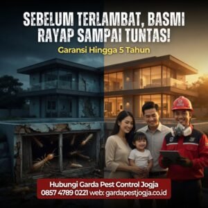 Harga Jasa Anti Rayap Jogja Murah & Efektif