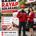 Jasa Anti Rayap Jogja Kualitas Terjaga