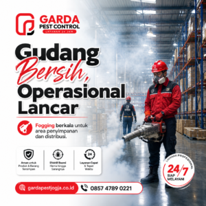 Layanan Basmi Nyamuk DBD Jogja