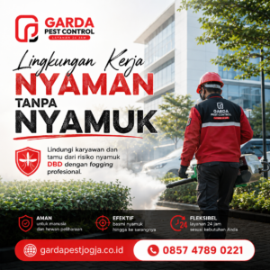 Harga Jasa Fogging Nyamuk Rumah di Jogja