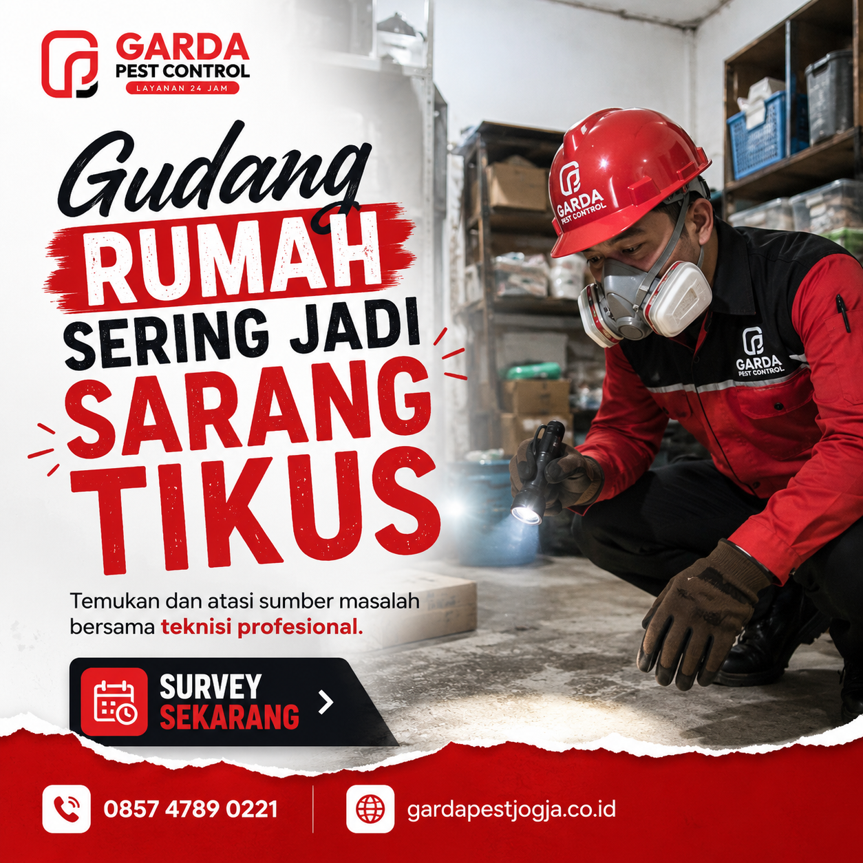 Rincian Biaya Jasa Pembasmi Tikus di Jogja dan Faktor Penentu Harganya