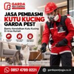 Jasa Pembasmi Kutu Kucing Terpercaya