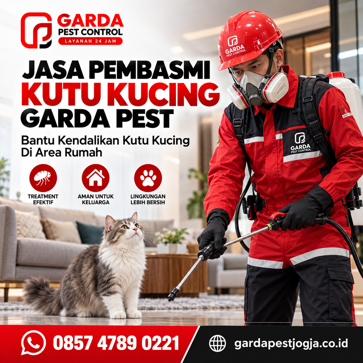 Jasa Pembasmi Kutu Kucing di Jogja Termurah 2026