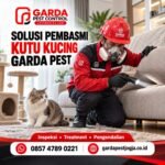 Jasa Pembasmi Kutu Kucing Profesional Jogja