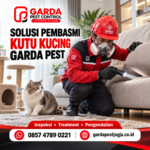 Jasa Pembasmi Kutu Kucing Jogja Layanan 24 Jam 