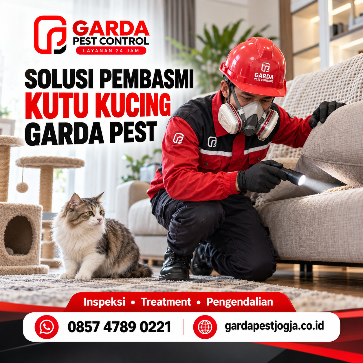 Jasa Pembasmi Kutu Kucing Jogja Layanan 24 Jam 