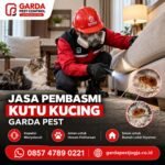 Harga Jasa Pembasmi Kutu Kucing Jogja