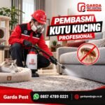 Biaya Jasa Pembasmi Kutu Kucing Rumah di Jogja